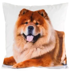 Poszewka Animals 45x45 Chow Chow